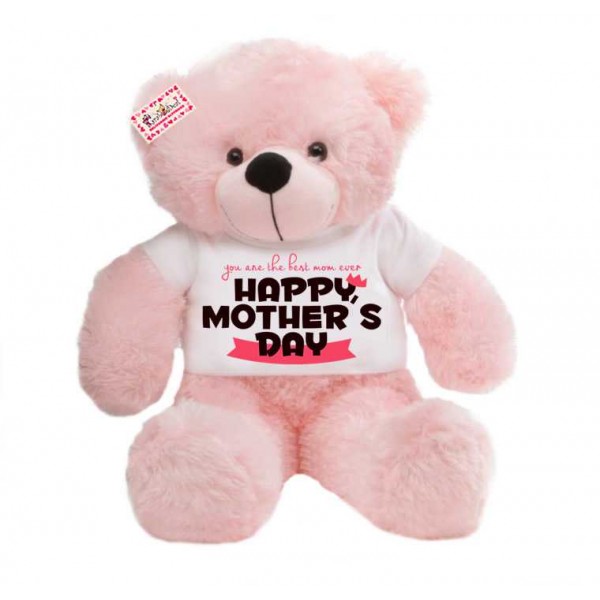 2 feet big pink teddy bear wearing You are the best mom ever Happy Mothers Day T-shirt